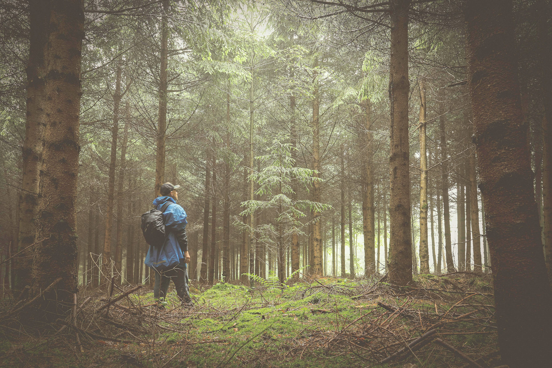 A man wearing a blue raincoat standing alone in a forest in winter.
