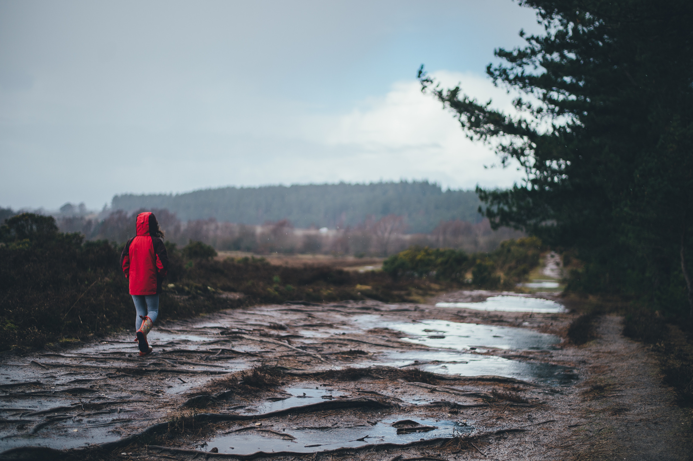 A woman in a red coat walking on a path in the countryside in the rain