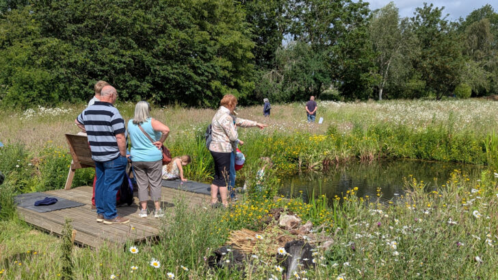 Children and adults exploring the wildflower fields and pond-dipping at Martha's Meadow