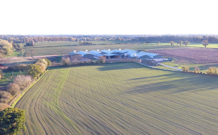 Cranswick Cherry Tree Farm, Stow Bedon as it is now before being turned into mega farm.