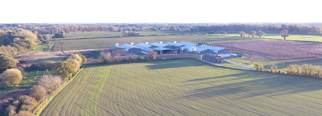 Cranswick Cherry Tree Farm, Stow Bedon as it is now before being turned into mega farm.