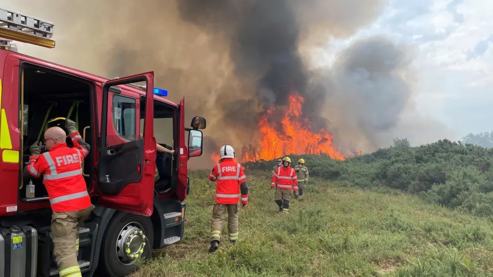 Firefighters at the scene of a wildfire. There are flames in the background, several fire crew and an engine in the foreground