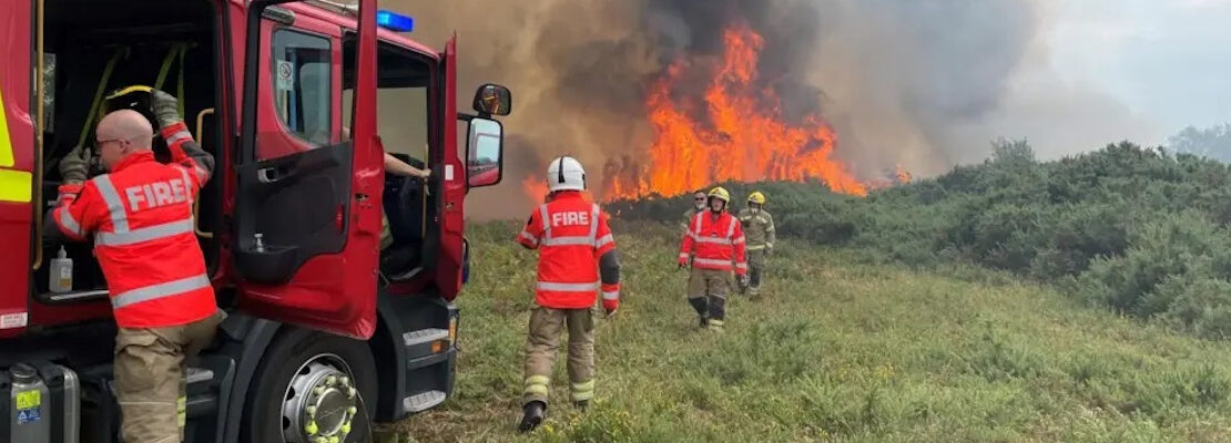 Firefighters at the scene of a wildfire. There are flames in the background, several fire crew and an engine in the foreground