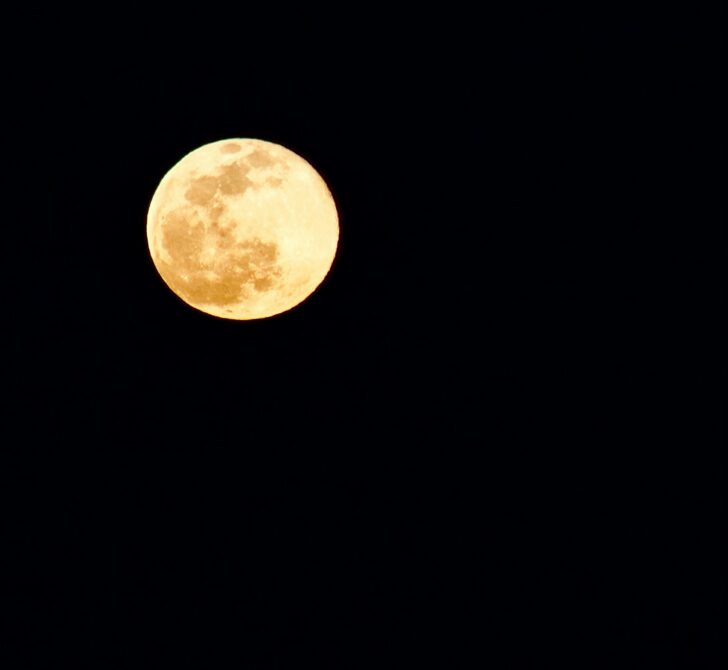 A Harvest Moon