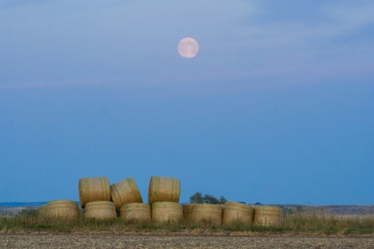 A Harvest Moon over bails of hay and farmland