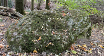 The Devil’s Stone of Lyng