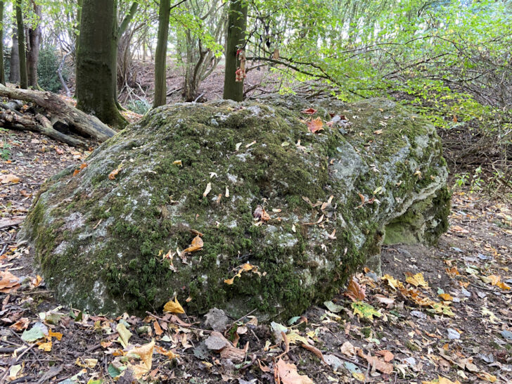 The Devil’s Stone of Lyng