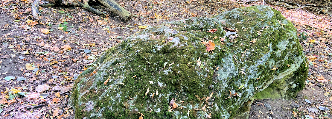 The Devil’s Stone of Lyng